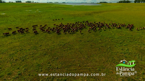 DOS EÓLICOS VIRA P FAZENDA_Moment.00_09_02_24.Quadro270_9bf4ac7a91ff44dd5db5d473a5b87a69d2def7d5.jpg